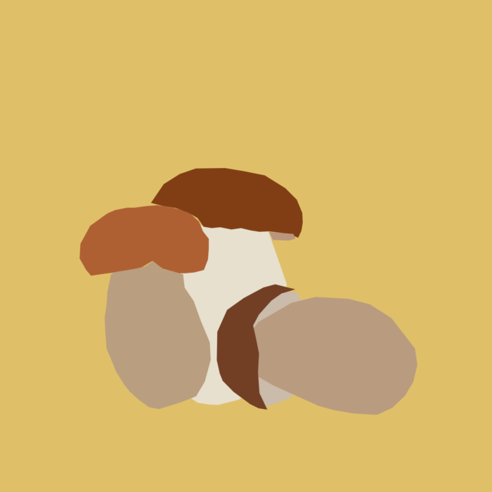 Champignons